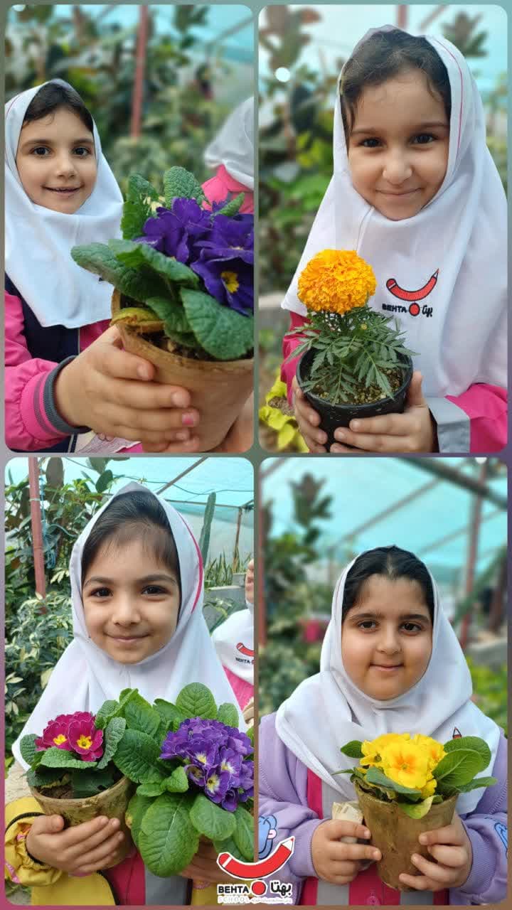 روز درختکاری