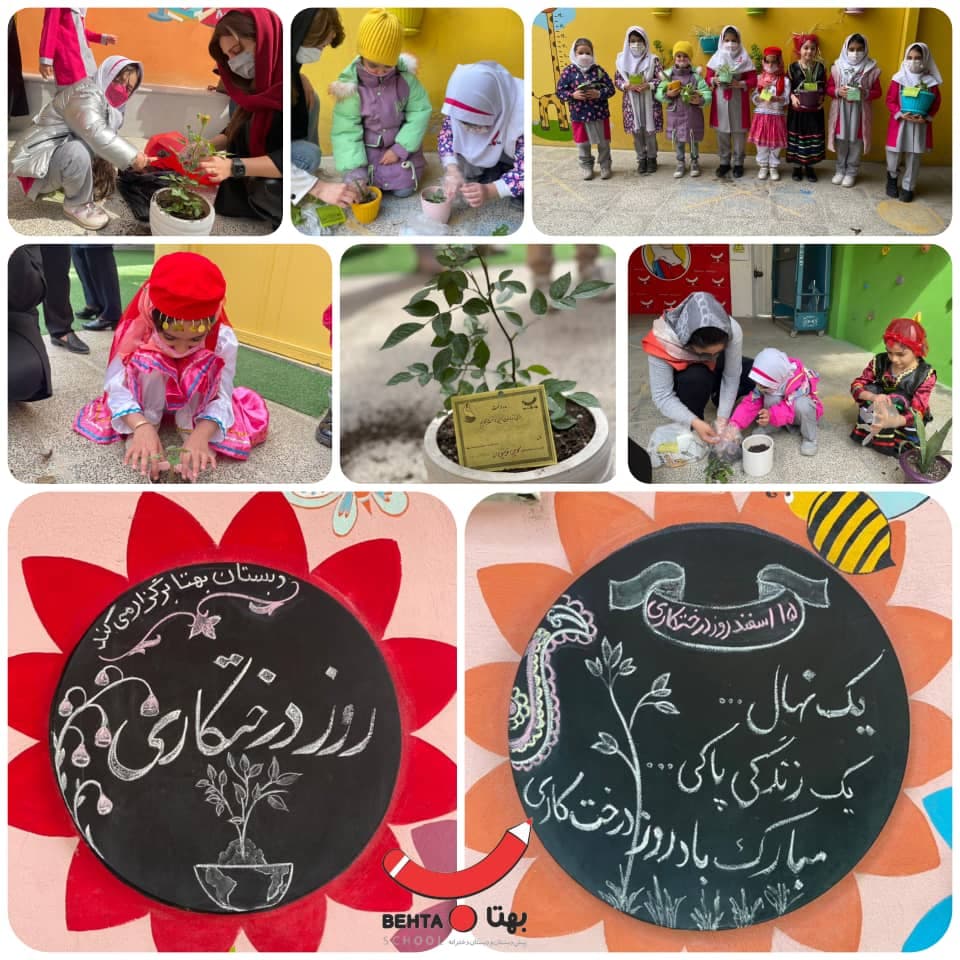 هفته درختکاری